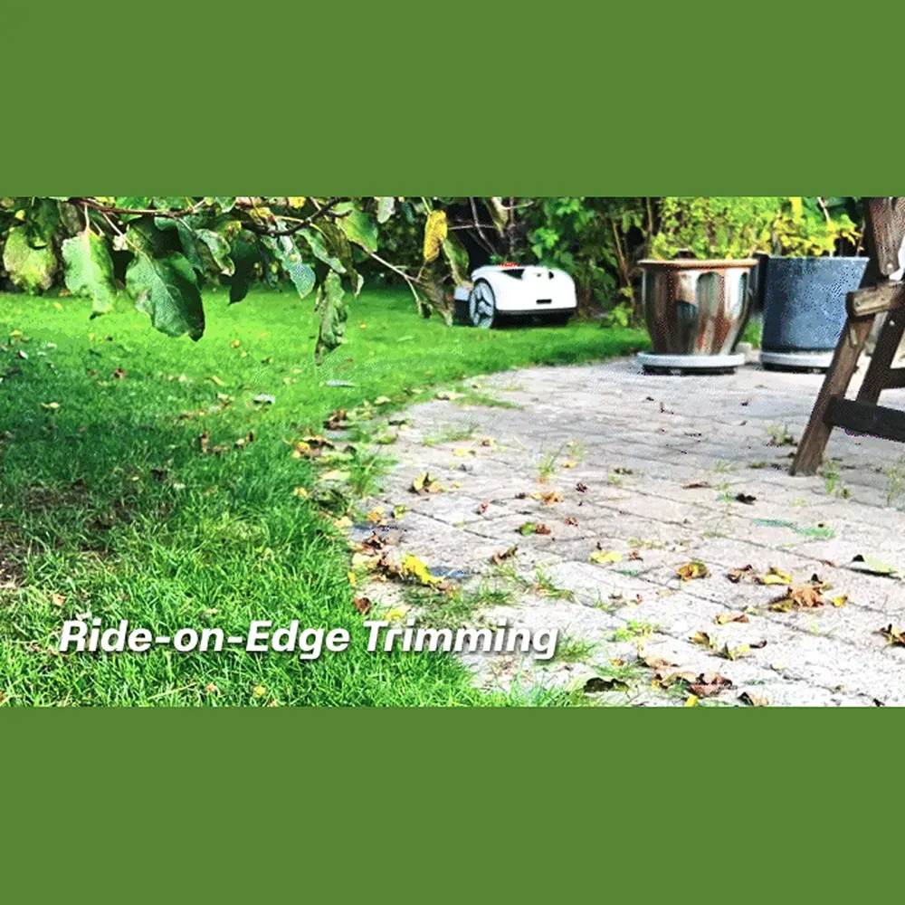 Ride On Edge.webp