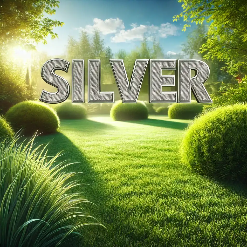 [4052A] Silver Trygghetsabonnemang årsvis skåne